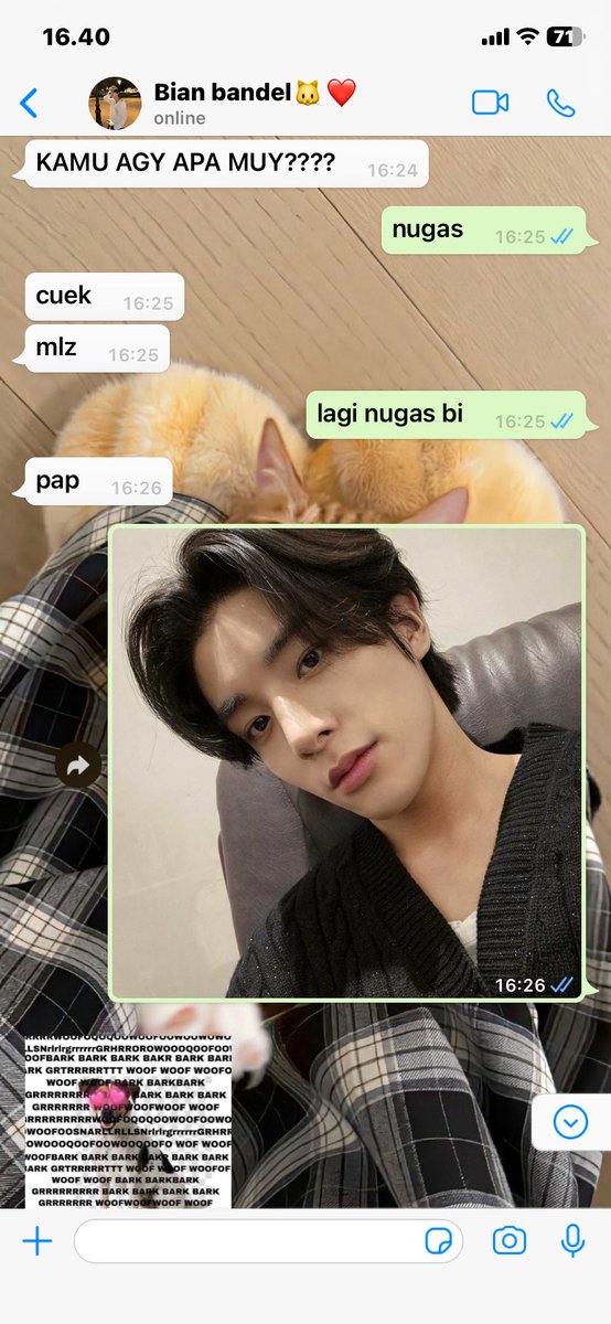 napnape🥥 tweet media