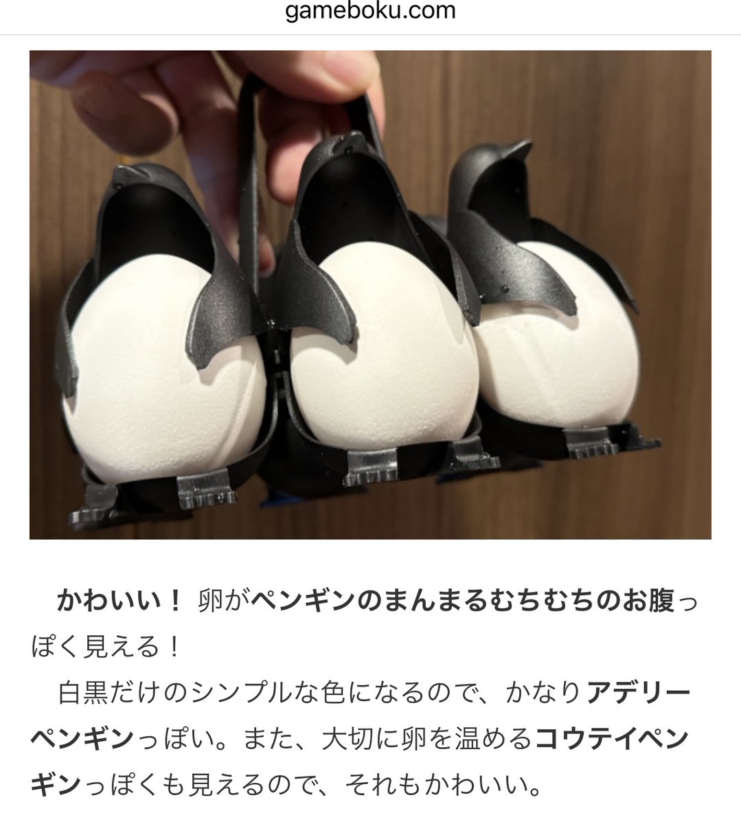 ゲムぼく。 tweet media