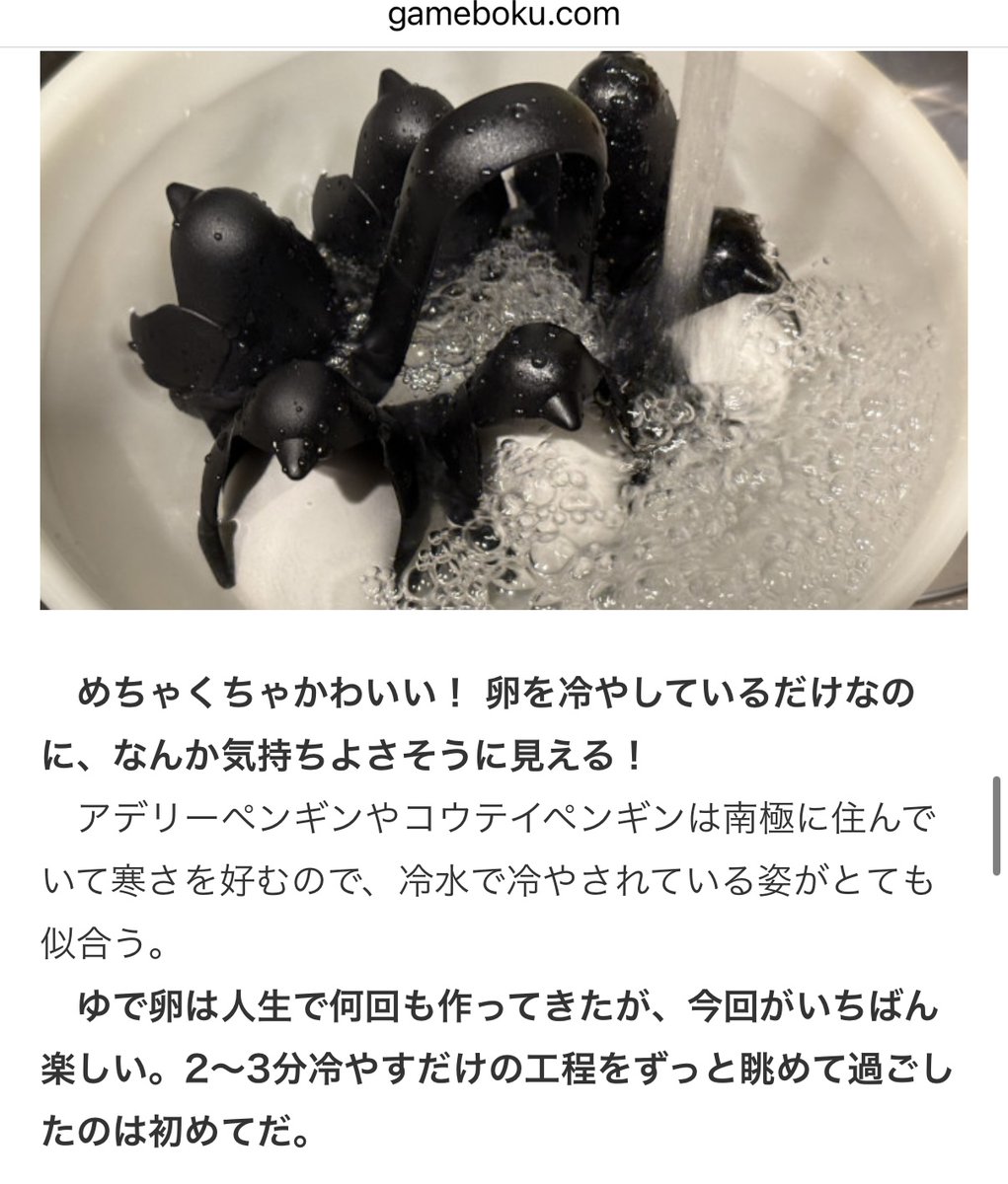 ゲムぼく。 tweet media
