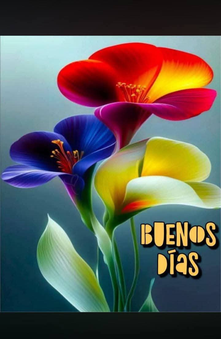 💫💫Estela❤️🖤💛🖤💛🖤💛💪💪💪 tweet media