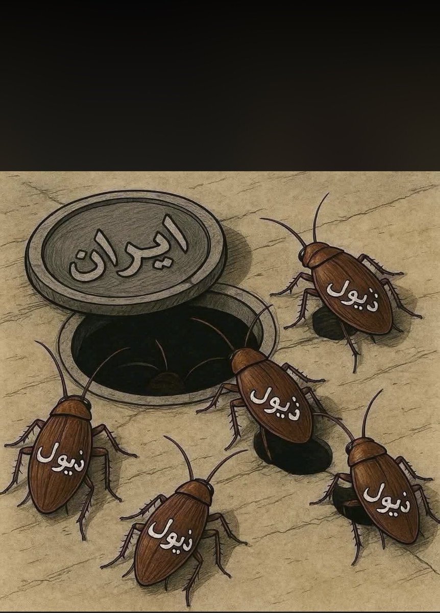 🌹سعد السعاده🌹 tweet media