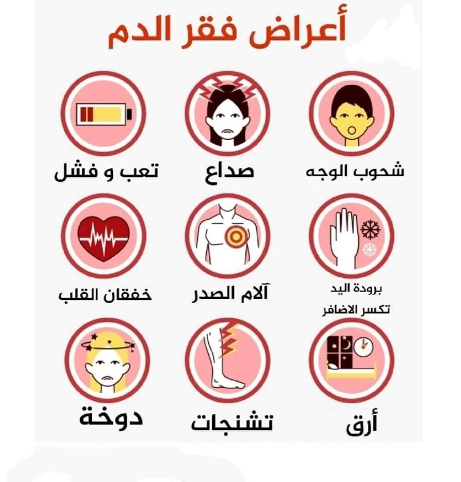برنامجك الطبي المتقدم🧬 || سُهيله tweet media
