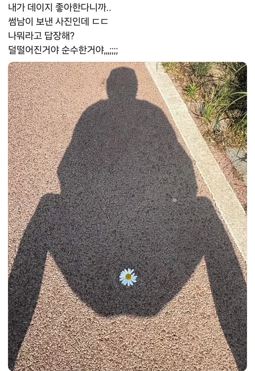 Bug👾 tweet media