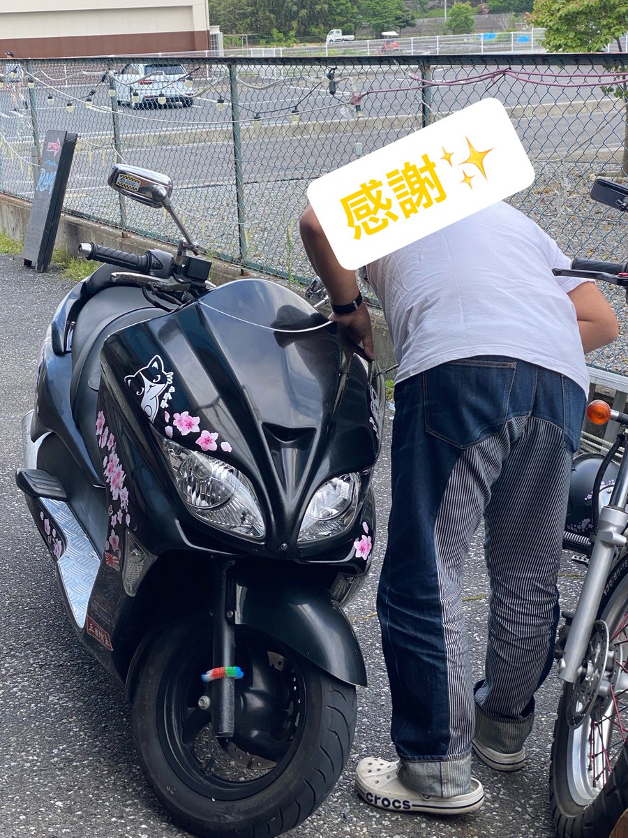 せつねこ🐈‍⬛ tweet media