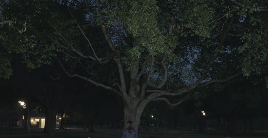 ymmzk46's tweet photo. coming soon...🌳

2026.5.5   20:00 https://t.co/0WVaN2Pryz