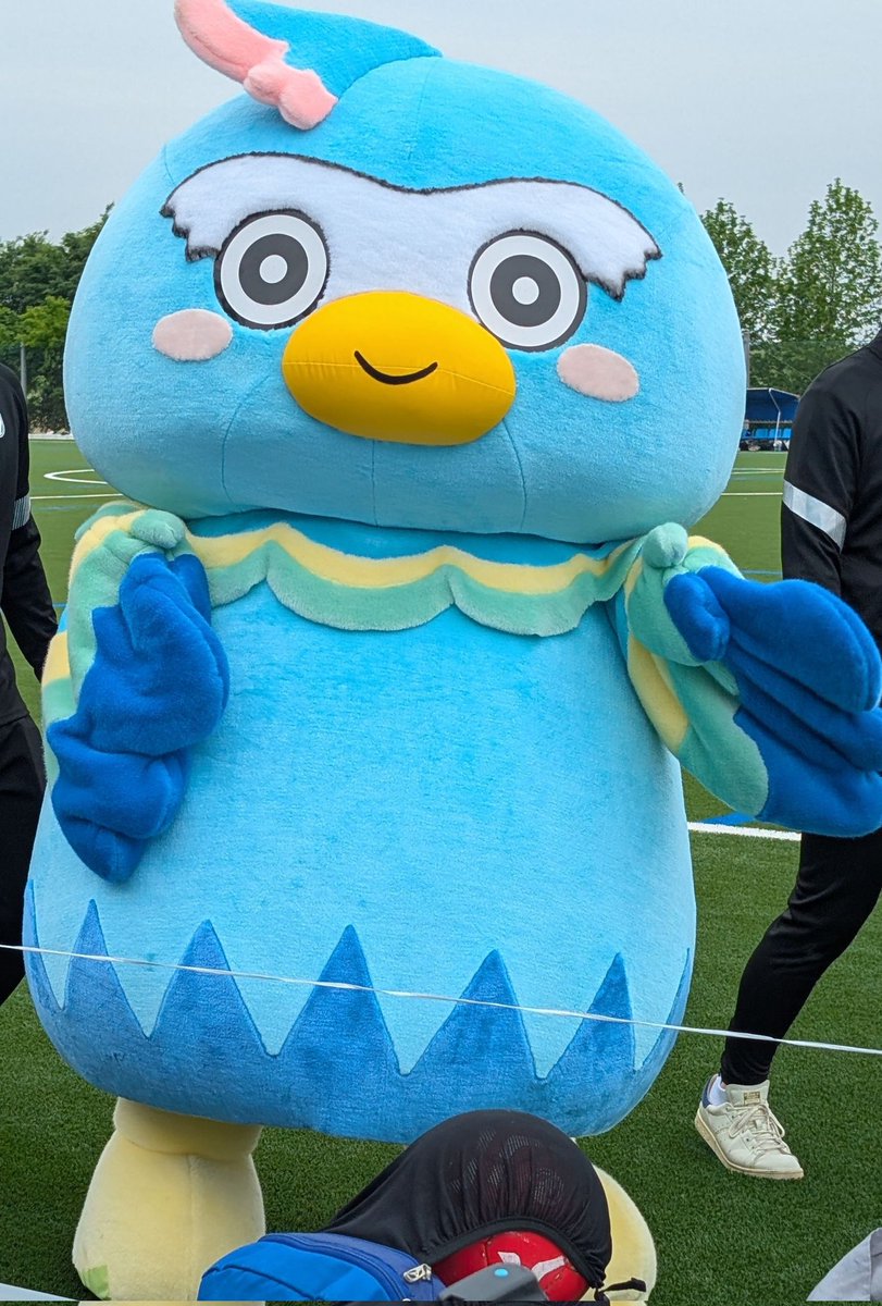 たっか〜くん【公式】（NAGAREYAMA F.C.マスコットキャラクター） tweet media