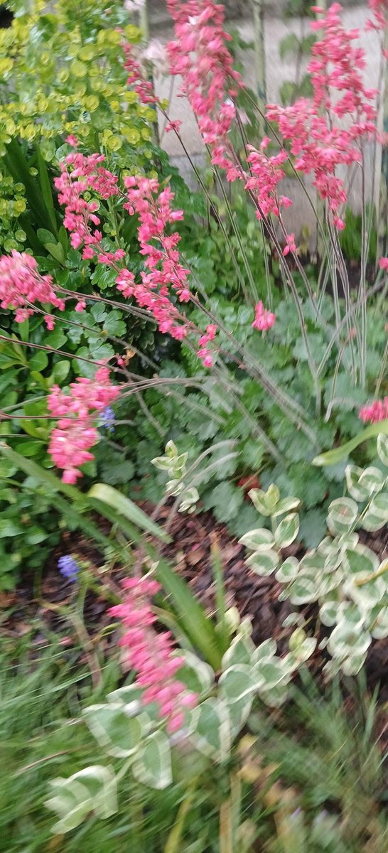 Valley Gardens Castleford tweet media