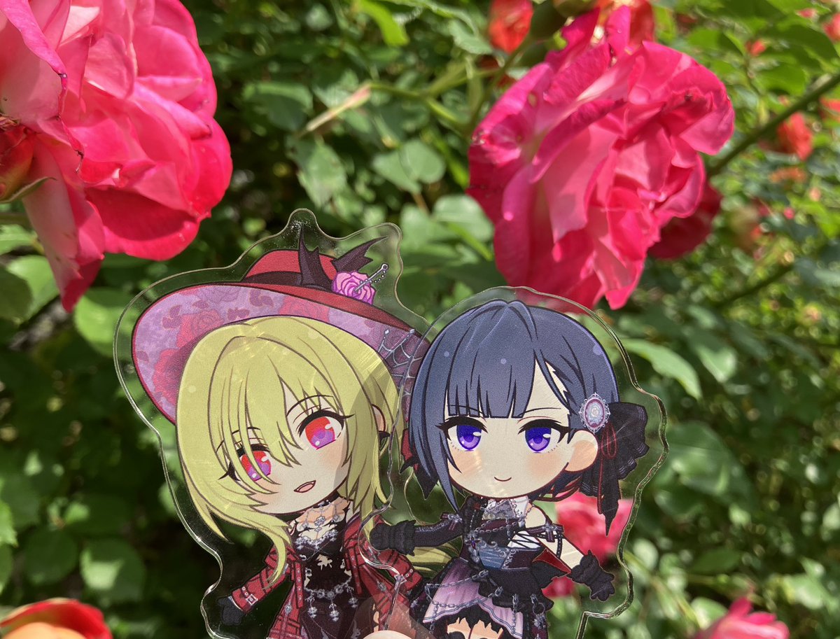 ✨ゆずぽんページ✨ Post by ゆずぽんず on X: 🌹🌹