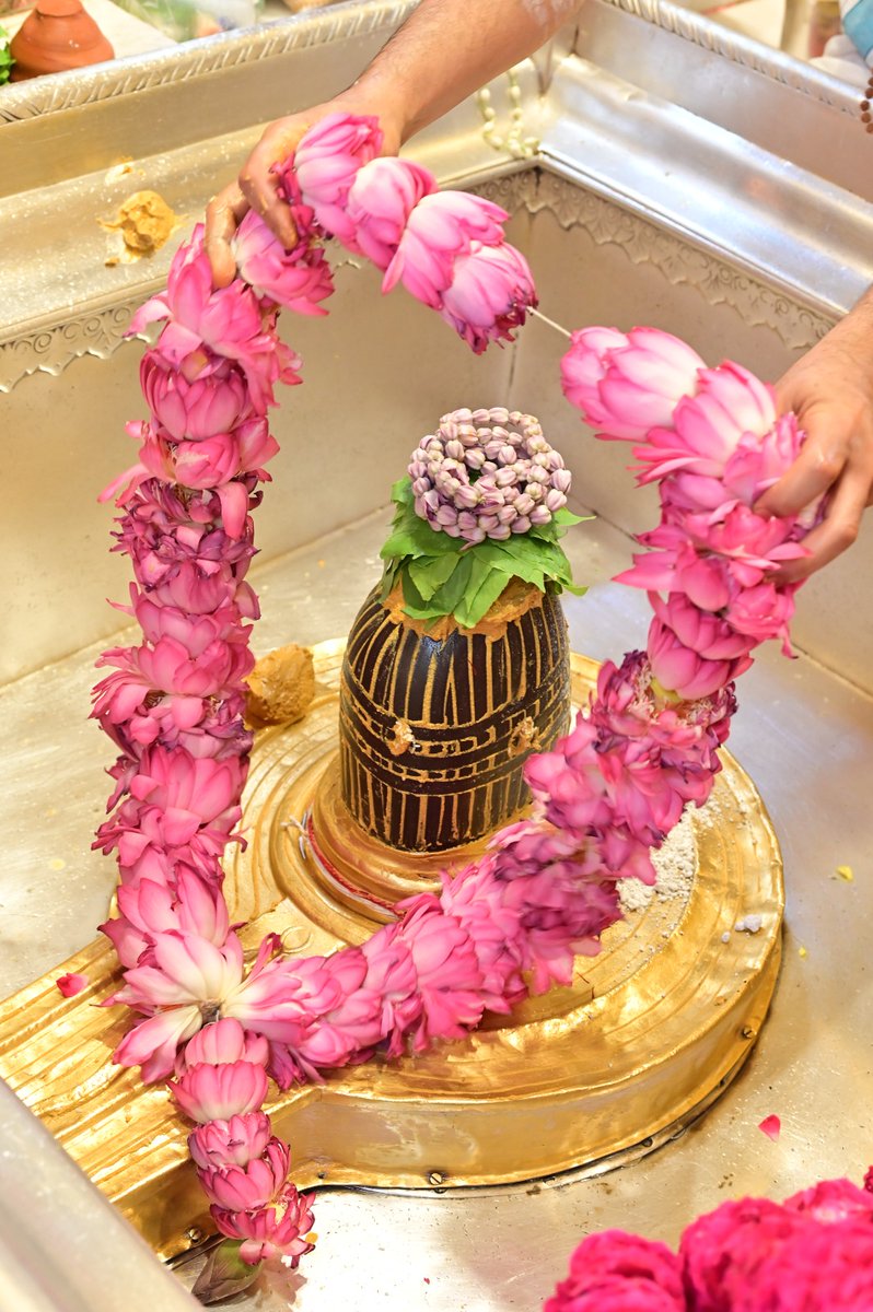 Shri Kashi Vishwanath Temple Trust tweet media