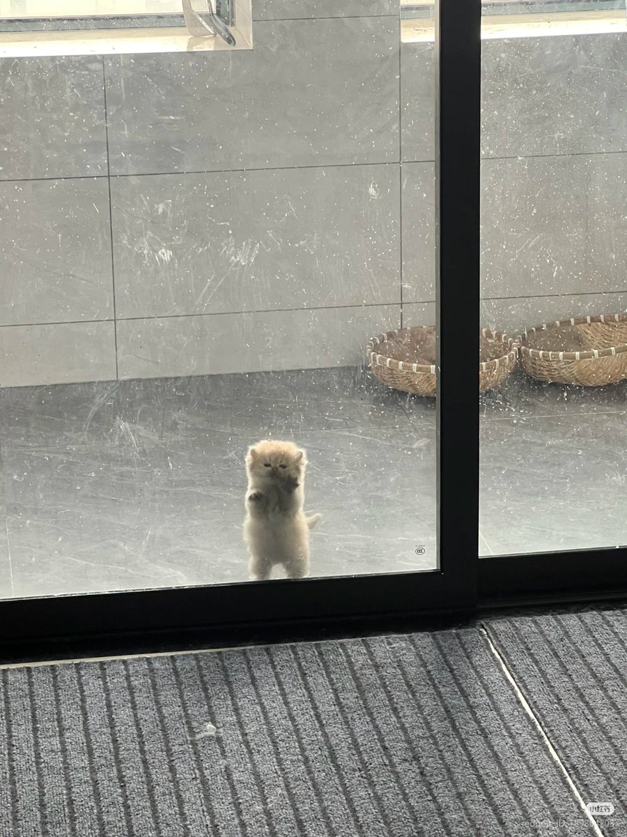 OPEN THE DOOR!!