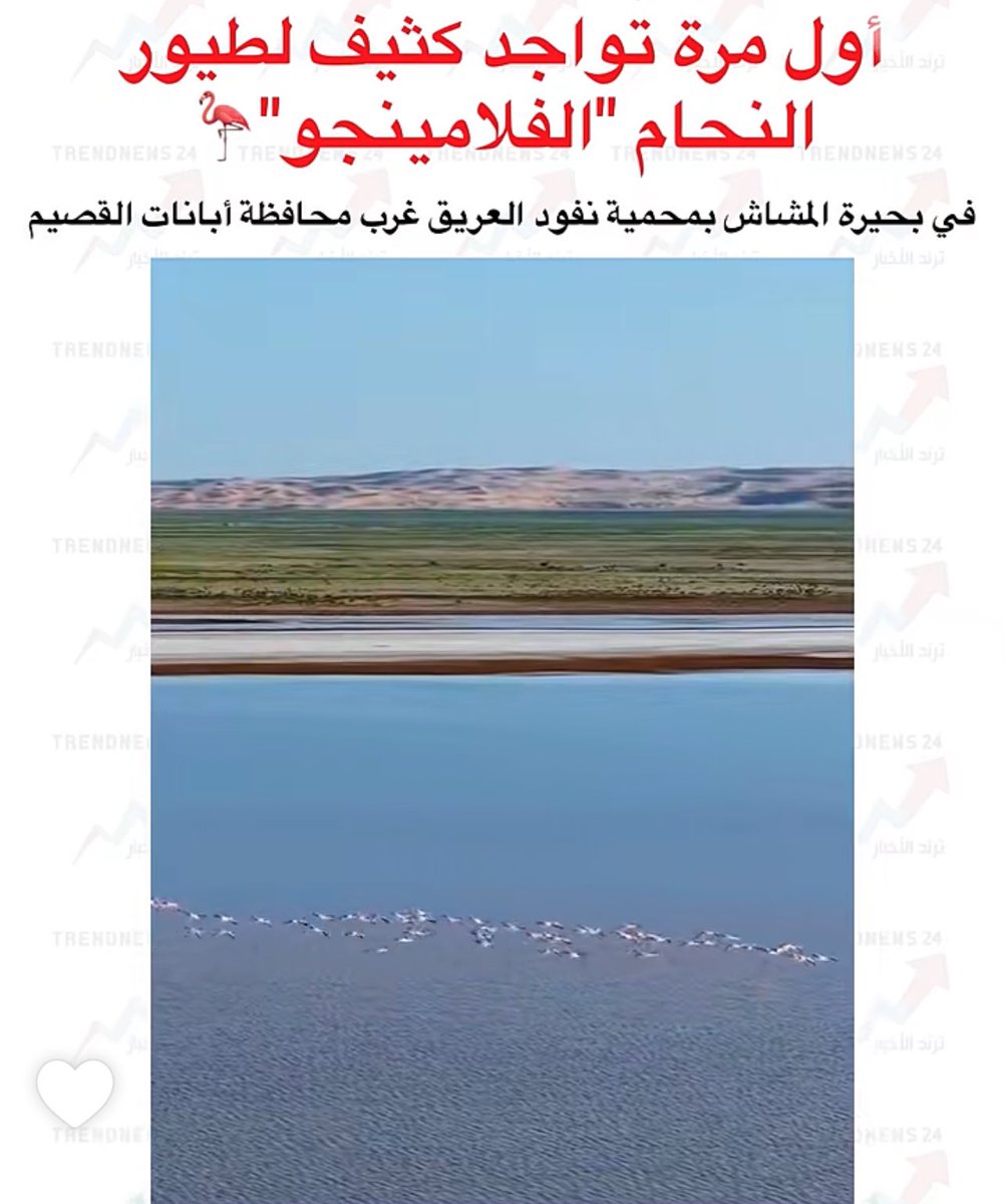 ••£ صاحبة مبدأ £•• tweet media