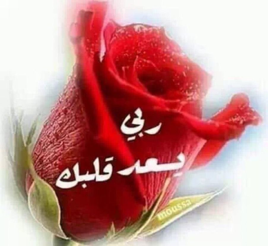 أشواق معطرة tweet media