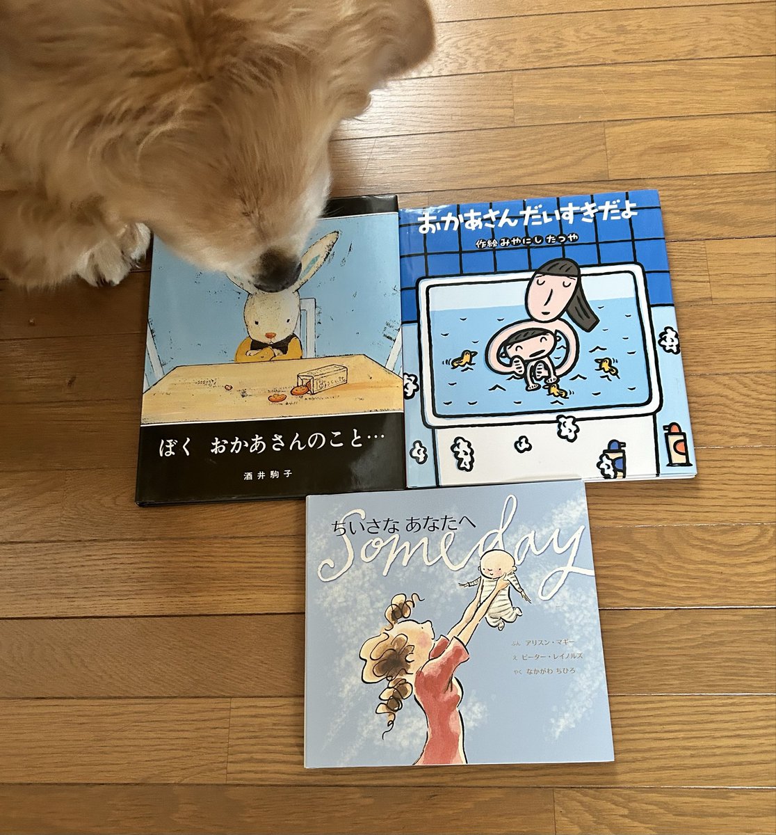 あいだ@本屋でまちづくり tweet media