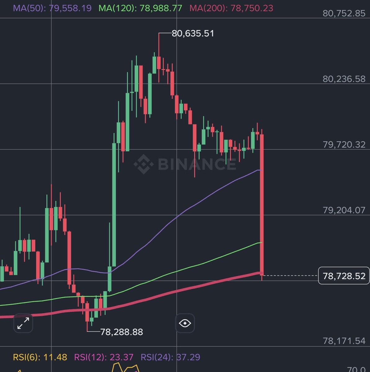 loveBTC⚡ tweet media