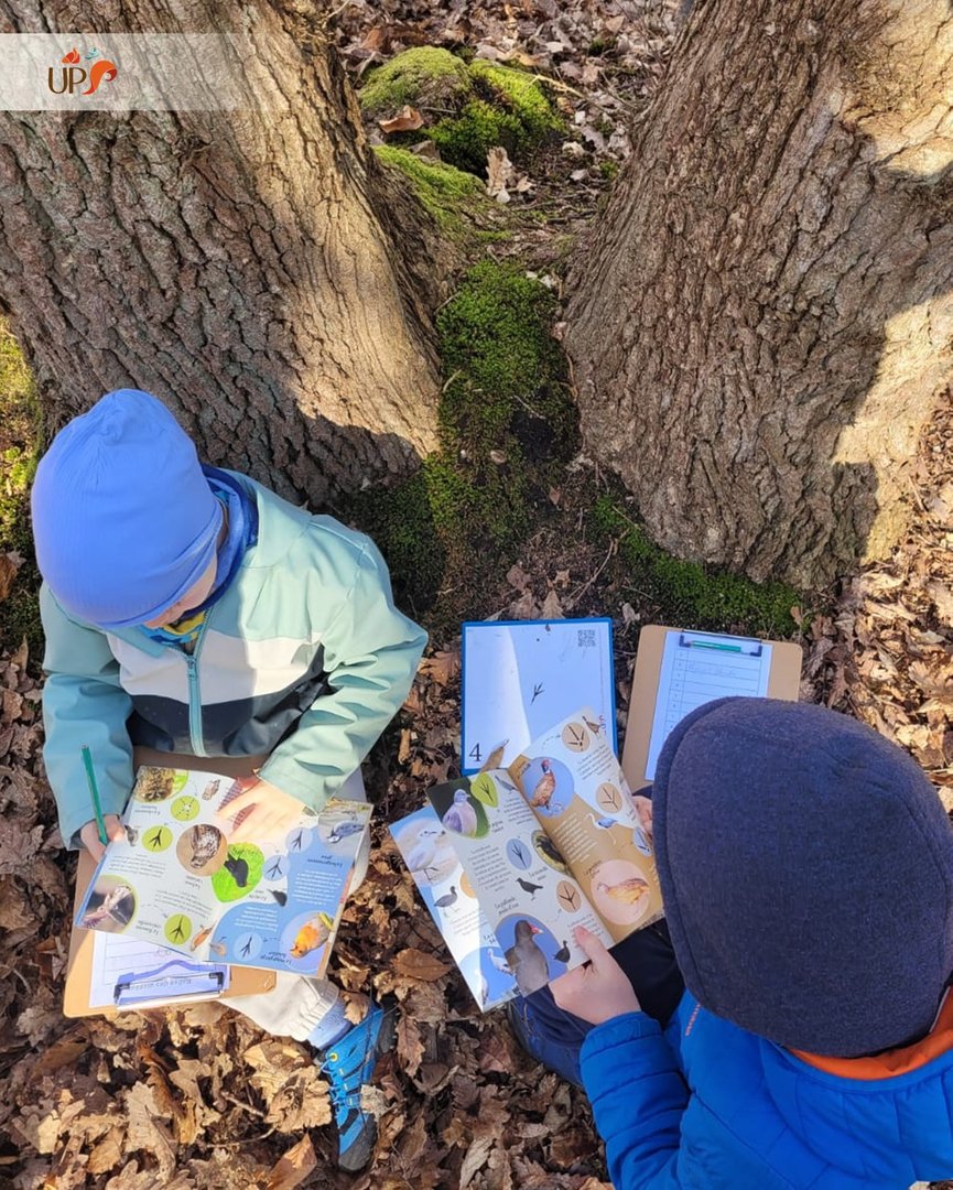 Biodiversitup's tweet photo. Des oiseaux du printemps 🌼C’est toujours un réel plaisir de collaborer avec les Maisons des Forêts @MetropoleRouenN afin de proposer des animations nature sur le thème de la faune aux familles du territoire. https://t.co/BdbuoobATW