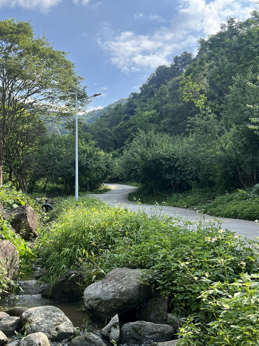 大发同学 tweet media