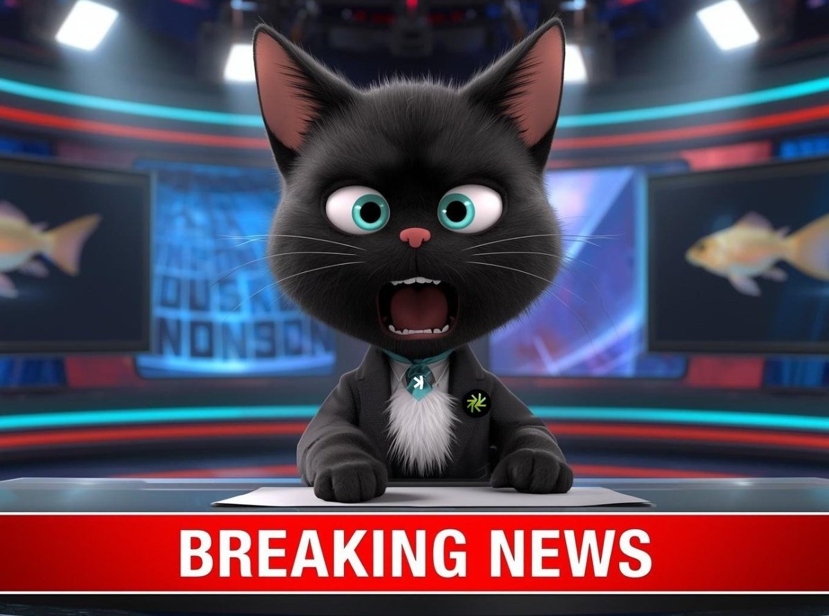Nacho the 𐤊at tweet media