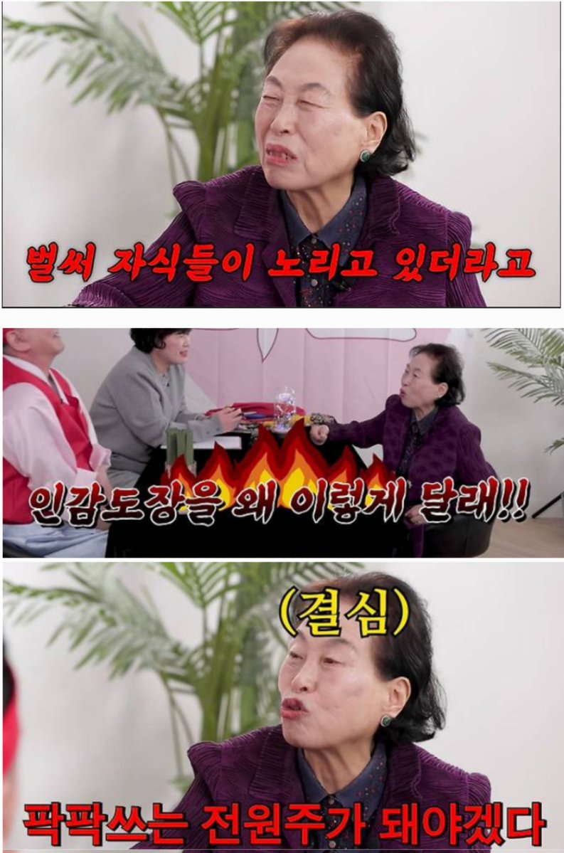 당파이어 tweet media