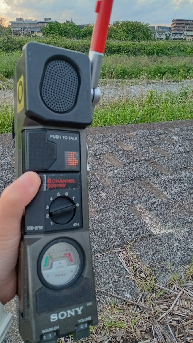 ｺｼｺｼ😁ﾄｳｷｮｳHN81 tweet media