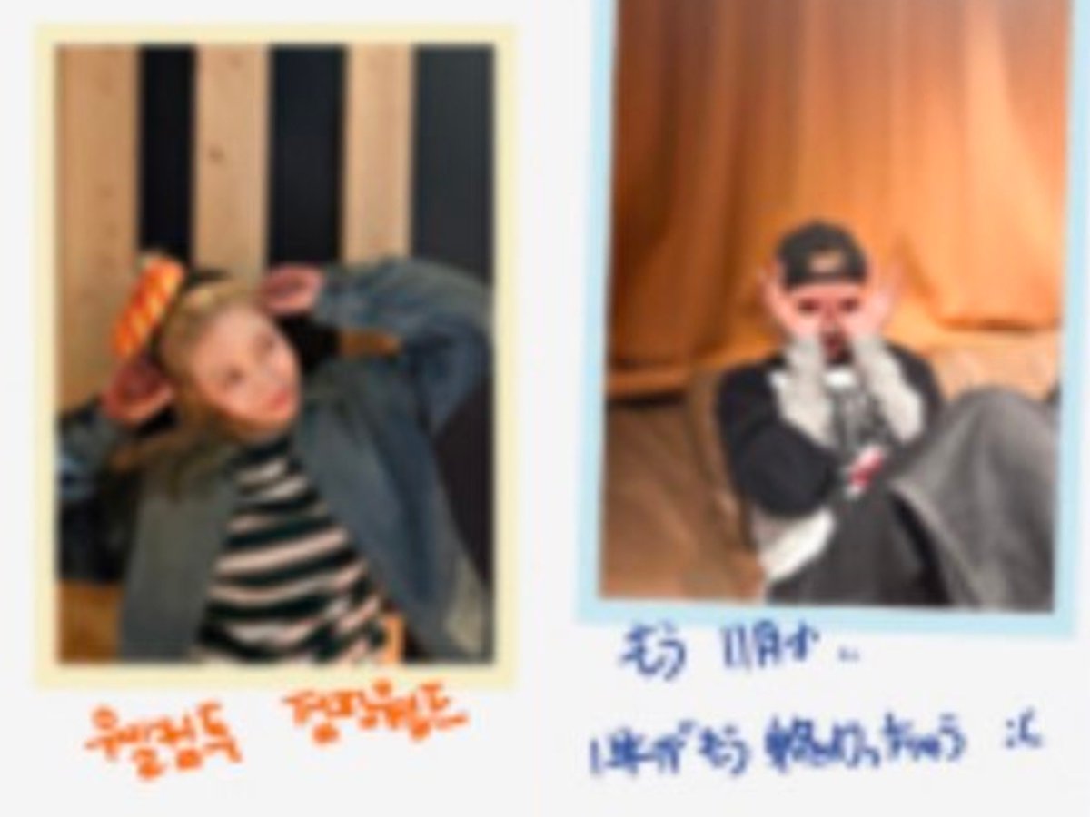 뽀바 tweet media