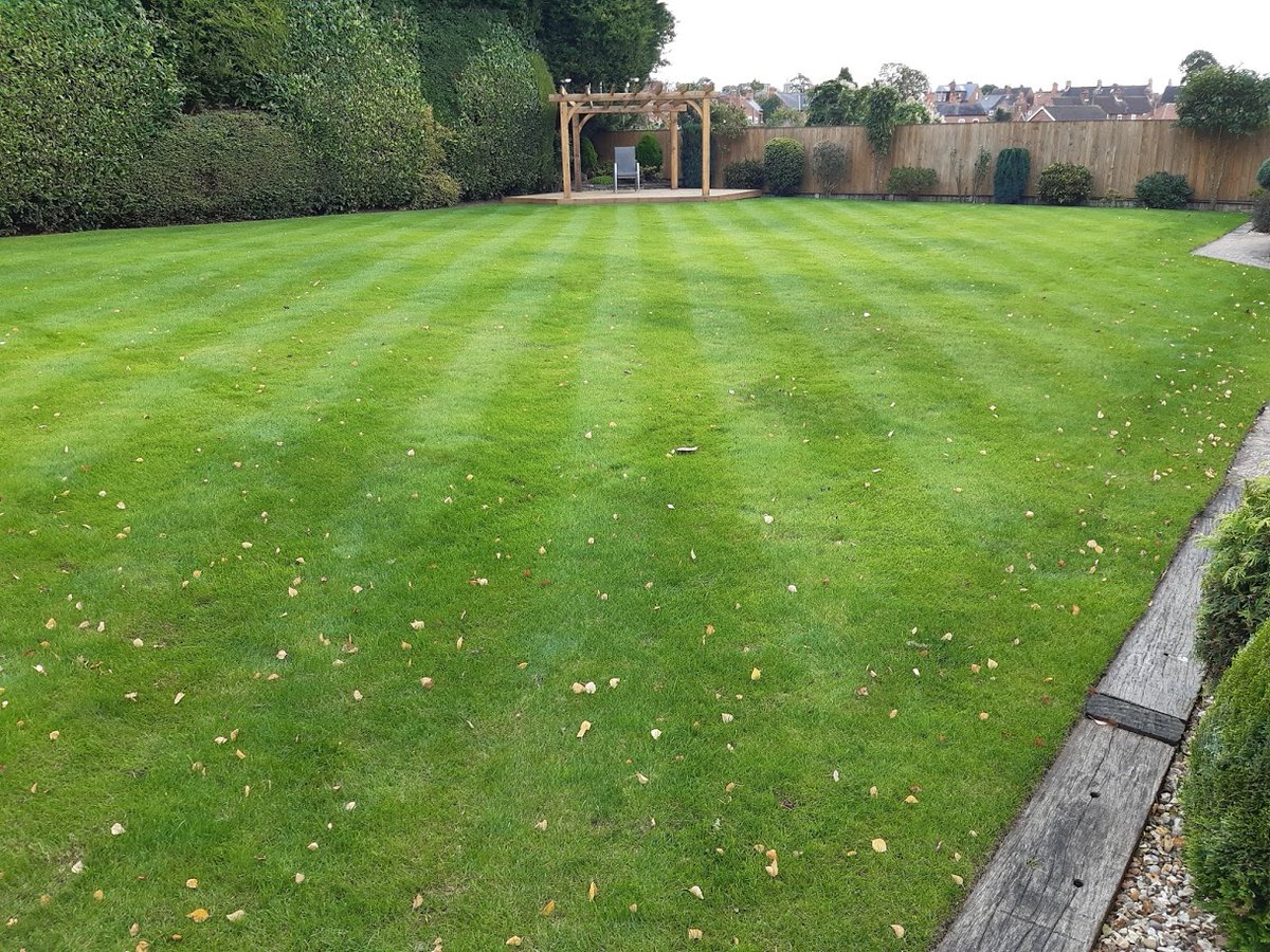Lawn Master tweet media