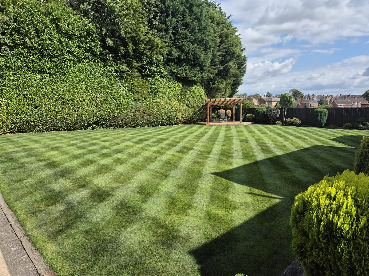 Lawn Master tweet media