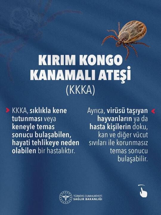 Havzadh's tweet photo. KIRIM KONGO KANAMALI ATEŞİ https://t.co/lhA6al9Yqf