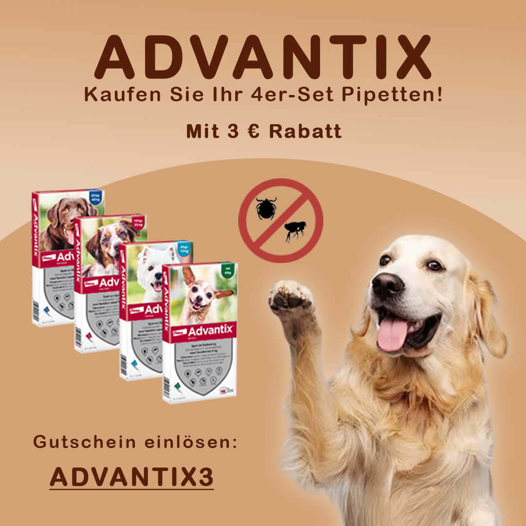 vetselection_de's tweet photo. Der beste Schutz für deinen Hund zu einem ganz besonderen Preis!

Sichere dir 3 € Rabatt auf das Advantix-Paket mit 4 Pipetten mit dem Gutscheincode ADVANTIX3

https://t.co/4F0TB0FQBW https://t.co/QOxNEJ6g7K