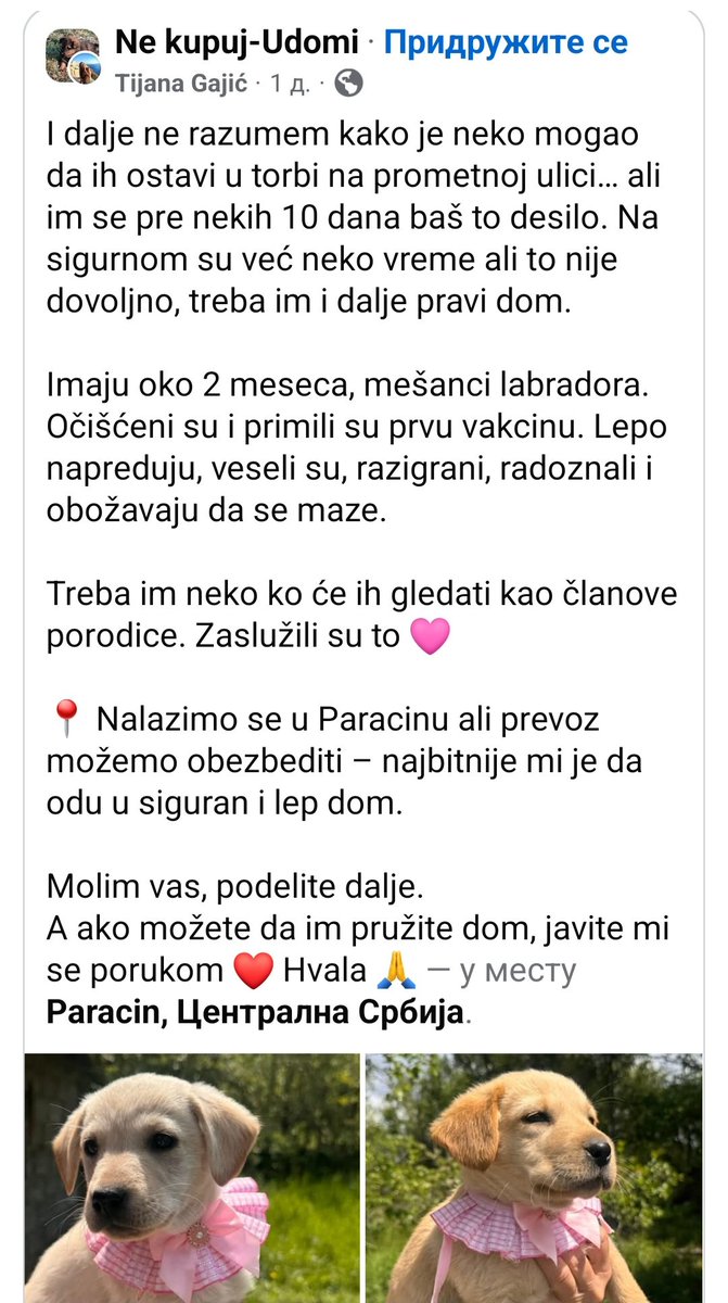 drzim_svecu tweet media
