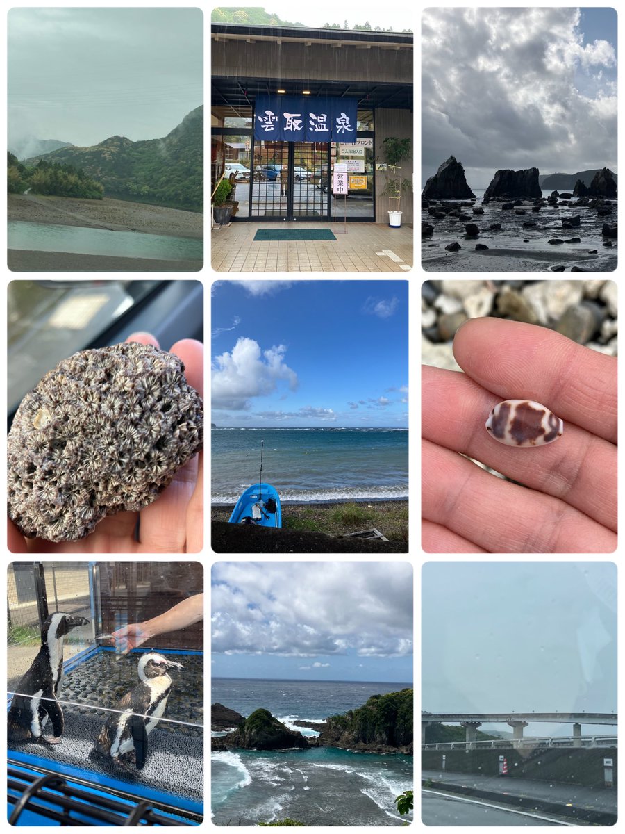 コットン🐰 tweet media