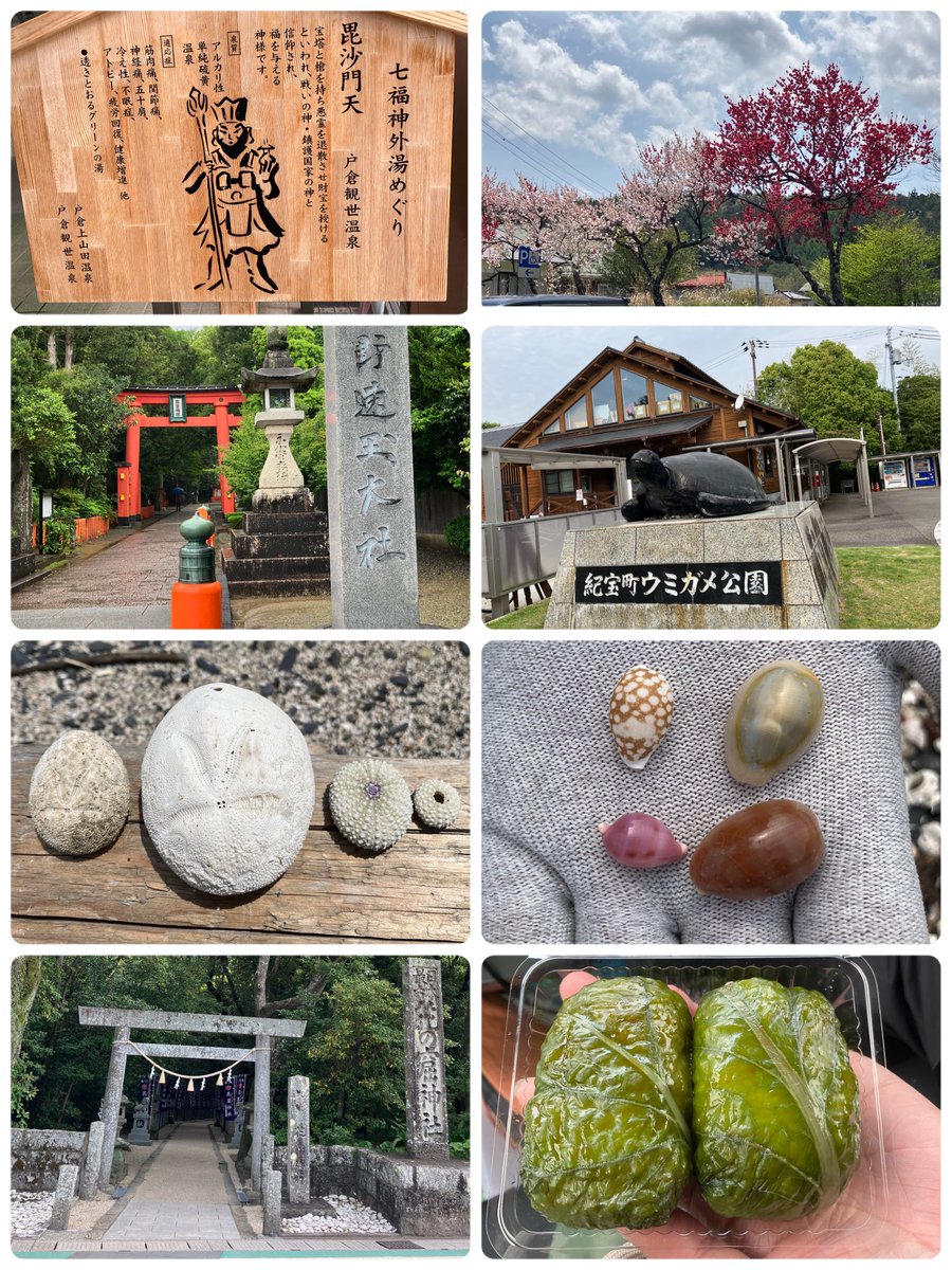 コットン🐰 tweet media