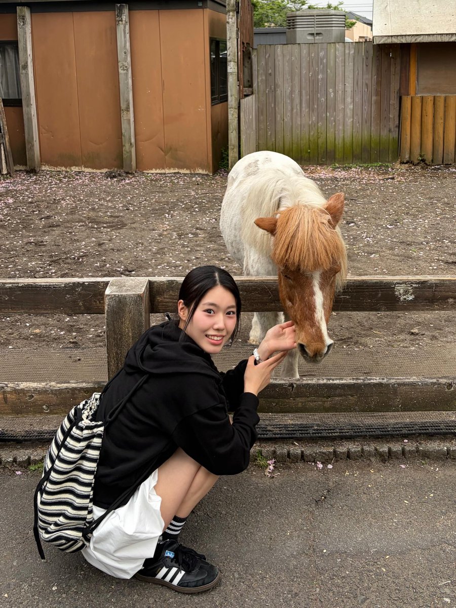 AriiilSa's tweet photo. 先日、まかいの牧場に行ってきました！
動物たちとこんなに近い距離で触れ合える空間🐏
動物と自然に癒されてとてもいい時間でした🌿✨
#まかいの牧場 https://t.co/icrVw02xYl