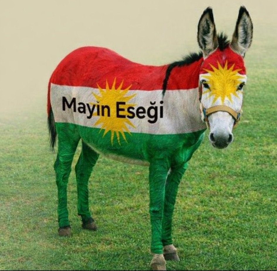 Koca Yörük 🐺🐺 tweet media