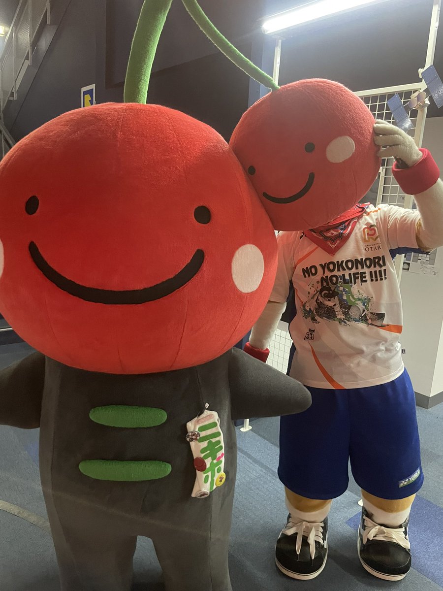 コギ坊 tweet media