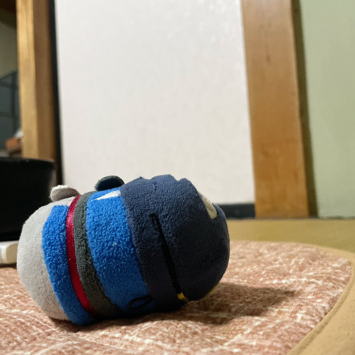 fbfb913hamu's tweet photo. お腹いっぱいになってもちちかさんとゴロンとしてる。 https://t.co/nO3vmeHtWb