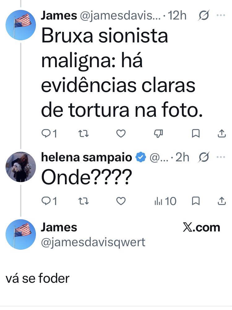 helena sampaio tweet media