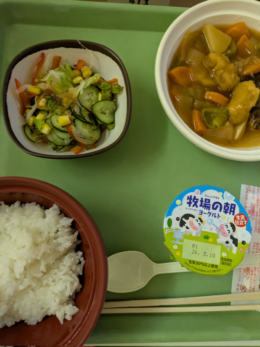 今日の晩御飯は酢豚〜( ﾟдﾟ )