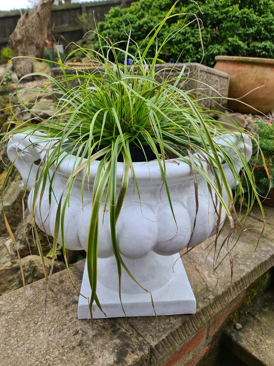 antiques_atlas's tweet image. For SALE on Antiques Atlas we have this
Attractive Tuscan Terracotta Urn 
antiques-atlas.com/antique/attrac… From Malcolm Eglin Antiques #antique #antiques #antiquegarden #gardenantiques