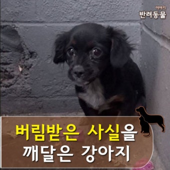 네단 tweet media
