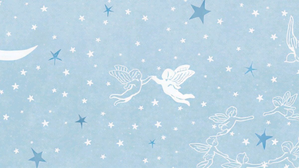wish feed tweet media