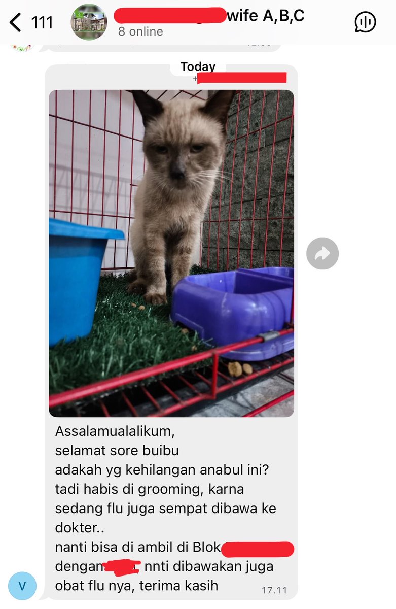 balap karung tweet media