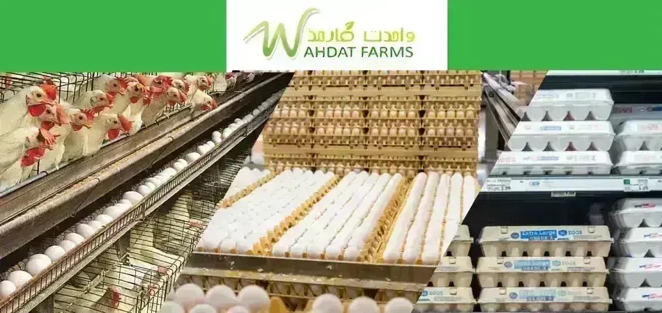 MettisGlobal's tweet photo. 𝐖𝐚𝐡𝐝𝐚𝐭 𝐏𝐨𝐮𝐥𝐭𝐫𝐲 𝐅𝐚𝐫𝐦 𝐈𝐏𝐎 𝐝𝐫𝐚𝐰𝐬 𝟐,𝟕𝟑𝟏 𝐚𝐩𝐩𝐥𝐢𝐜𝐚𝐭𝐢𝐨𝐧𝐬 𝐟𝐨𝐫 𝟏𝟖.𝟒𝐦 𝐬𝐡𝐚𝐫𝐞𝐬

Read the full story at https://t.co/ZtZdNzgqpM

For the latest updates, follow our WhatsApp Channel 👉https://t.co/0ikF0z1g8H

#Equity #Wahdat https://t.co/S75UuKwGVX