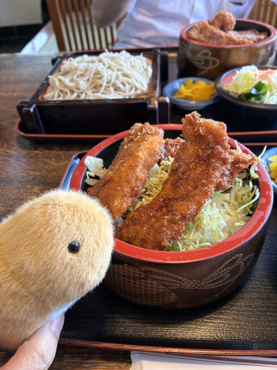 ぴむぞー🐦🌦 tweet media