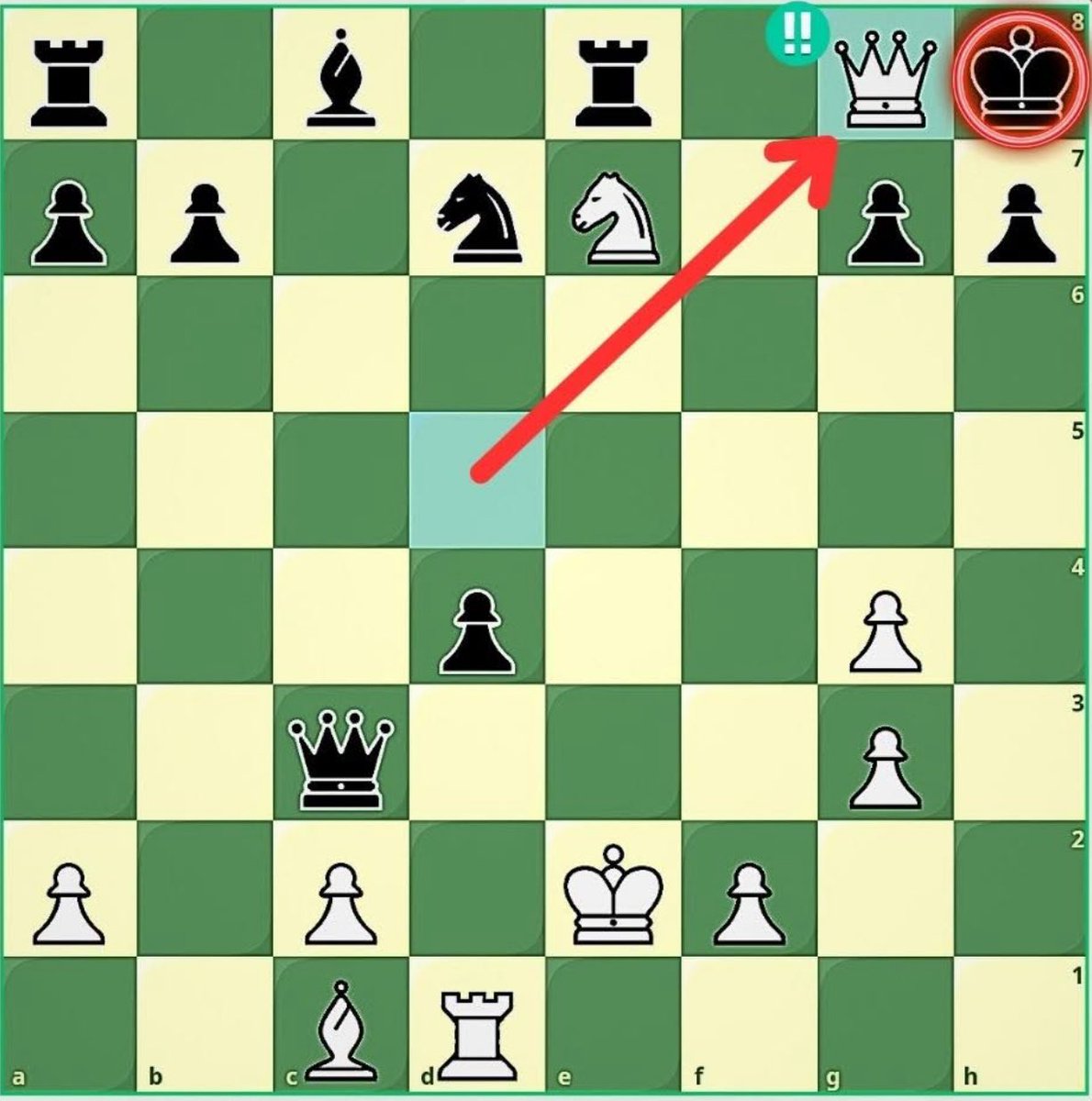 Chess Master tweet media
