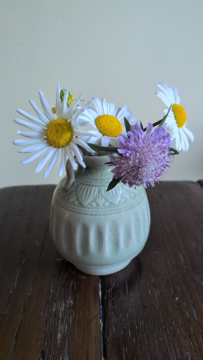 bitfresser's tweet photo. ↓（ｼｬｼﾝ）野原で摘んできてくれた花

植木鉢を片付けていたら、床に薄く積もった砂の上をアブが飛んで、羽の振動で砂を飛ばしていき、隅に溜まったタンポポの綿毛も飛ばし、自分の羽の動きの威力を試しているようだった。昆虫に共感できた初めてのことかもしれない。 https://t.co/Tw4PsIqFUI