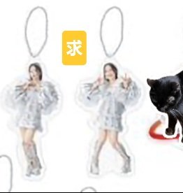 ☆フィロのスツアーアクキー交換☆

求: ❤️立ち

譲: 画像のもの（❤️丸、💜、💚）
よろしくお願いします！