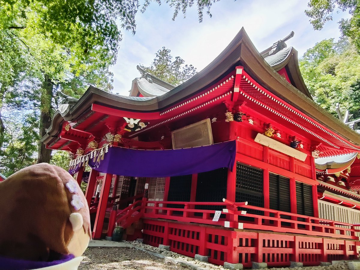 皐月海 tweet media