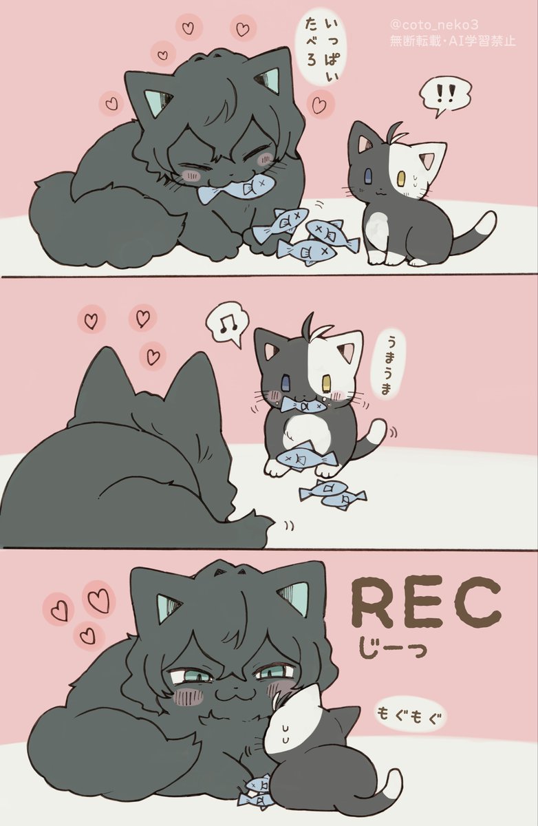 coto🐈‍⬛🌸🐺 tweet media