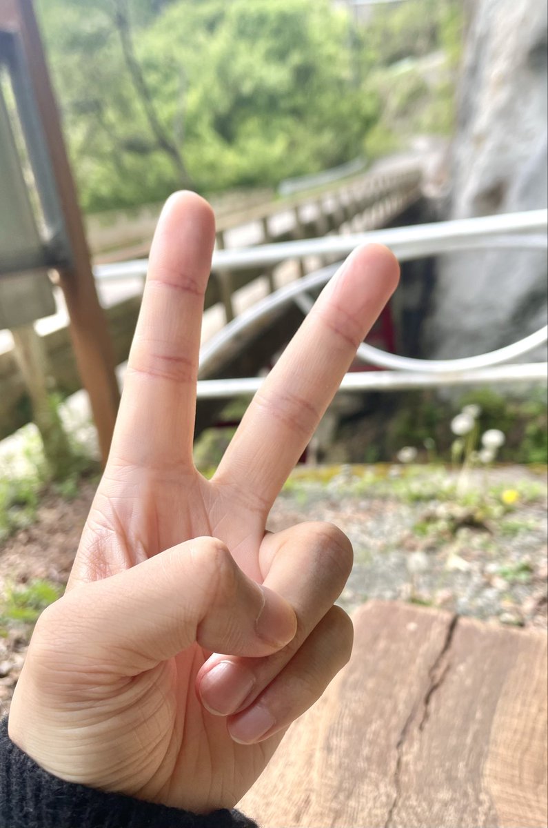 能登🌱 tweet media