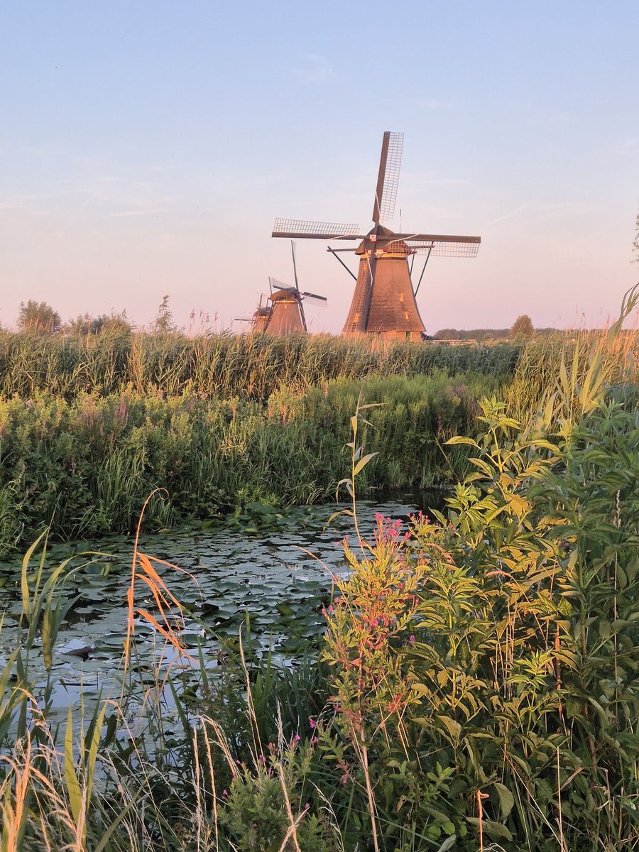 🌷Drs. Jol@ndE🌷🇳🇱🧡🇮🇱 tweet media
